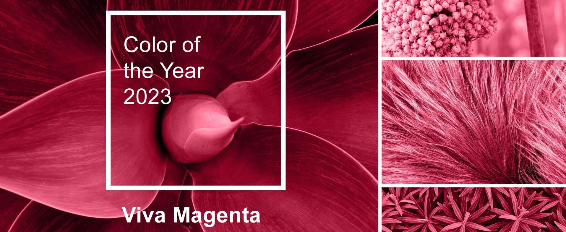 Color of the year 2023: its characteristics and how to combine it in our house's decoration.