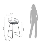 2 Padded Stools and Steel Structure in Different Finishes - Torio Viadurini