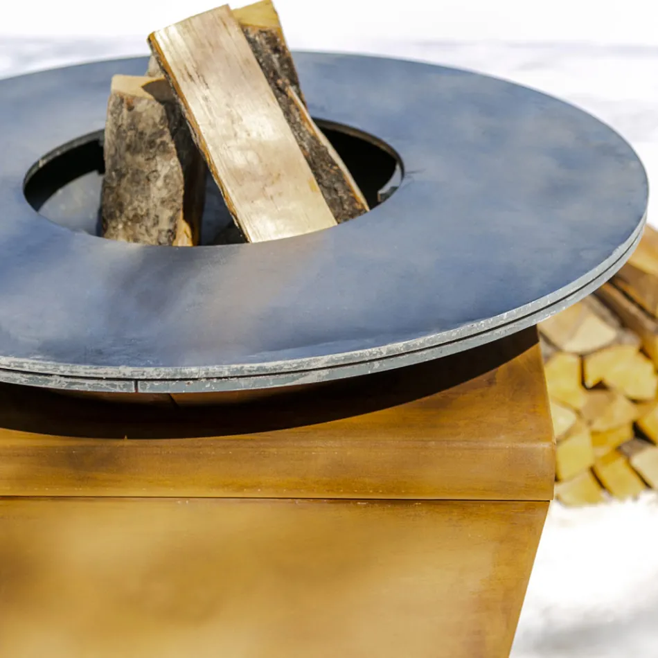 Wood Burning Braai With Cooking Plate And Wood Holder Compartment – Ferran Viadurini