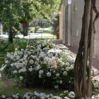 Garden Floor Lamp Aluminium White Design with Water Lily Leaf - Cipriam Viadurini