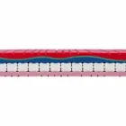 25 cm High Quality Memory Double Mattress Made in Italy - Platinum Viadurini