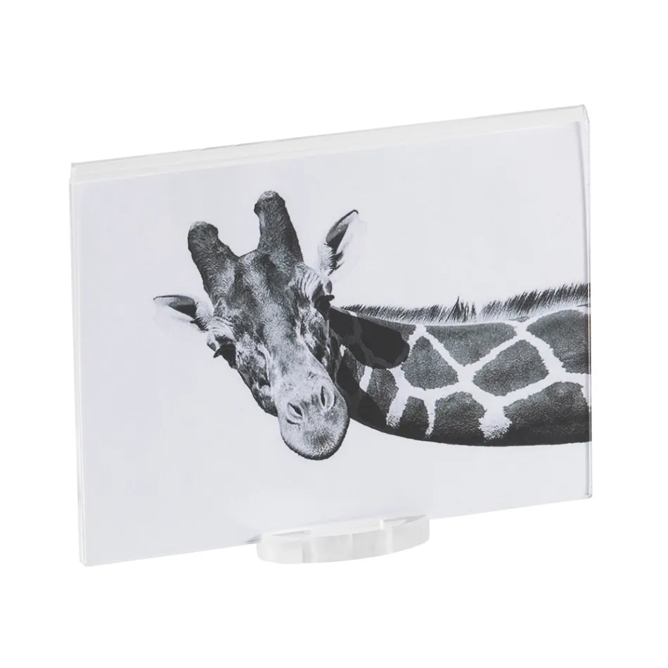 Transparent Acrylic Crystal Photo Frame with Design Base - Rover Viadurini