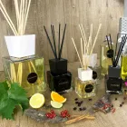 Rosa Marittima Home Fragrance 500 ml with Sticks - Rosadiamalfi Viadurini