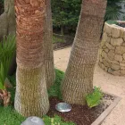 Round Spotlight with LED Outdoor in Stainless Steel - Dakota Viadurini