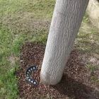 9W Outdoor Led Floodlight in Aluminium Matt Black Finish - Tudor Viadurini