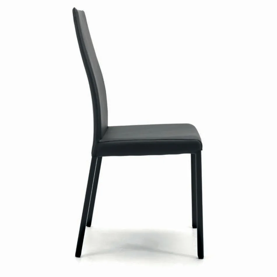 Indoor Chair with Structure and Seat in Coated Steel Made in Italy - Padua Viadurini