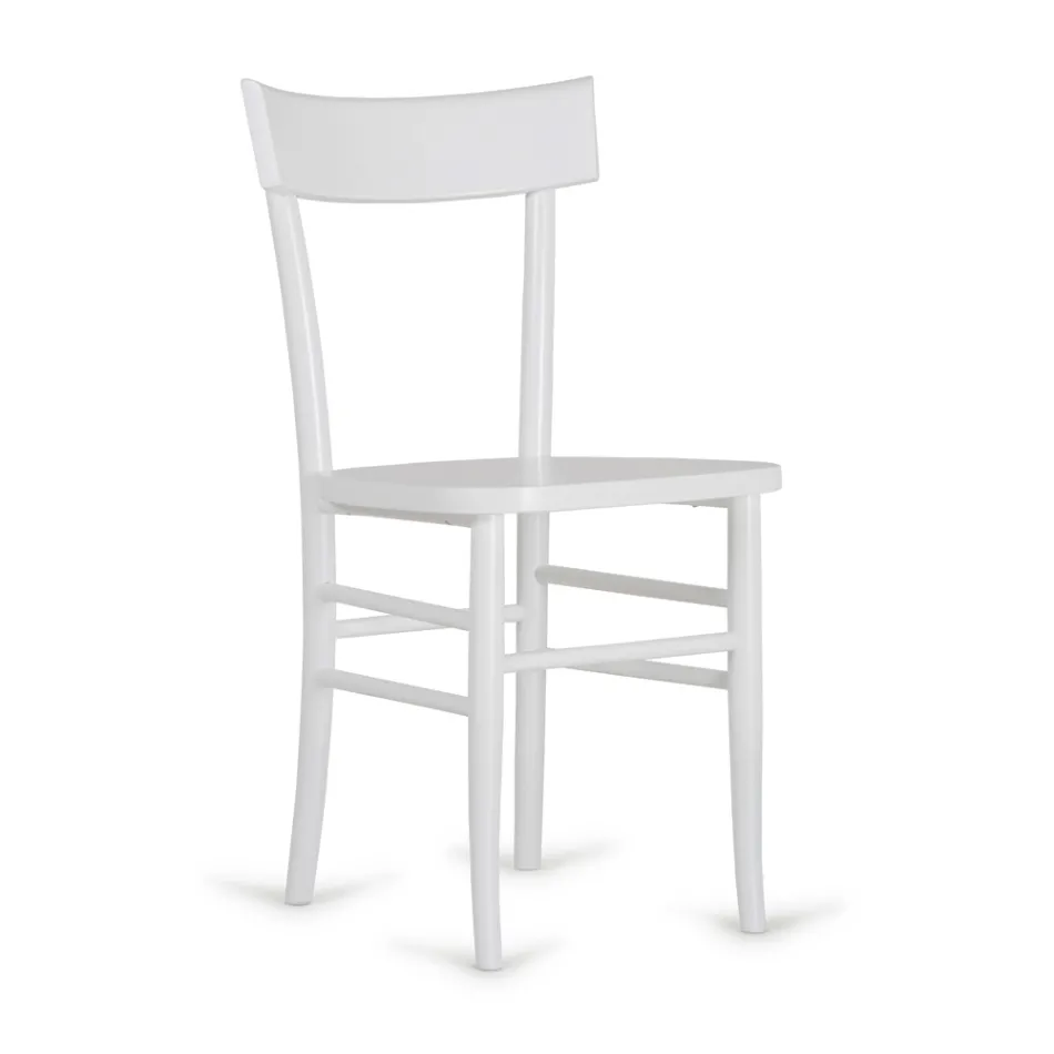 Modern design 4-piece beech wood chair - Stella Viadurini