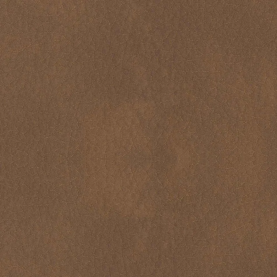 Dining Room Chair Covered in Ecoleather Made in Italy - Giulia Viadurini