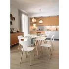 Made in Italy Wood and Polypropylene Dining Chairs, 2 Pieces - Clover Viadurini