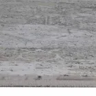 Designer Rug in Viscose and Acrylic Grey Beige with Design - President Viadurini