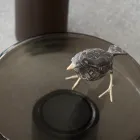 Coffee Table with Glass Top and Metal Base Made in Italy - Batulla Viadurini