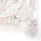 Modern plexiglass coffee table made in Italy, Asia Viadurini