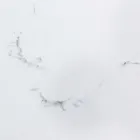 Extendable Dining Table 240 cm Glass and Ceramic Top - Barone Viadurini