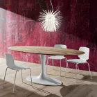 Dining Table with Oval Plywood Top Made in Italy - Brontolo Viadurini