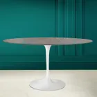 Tulip Table Eero Saarinen H 73 Oval in Ceramic Pietra Grey Made in Italy - Scarlet Viadurini