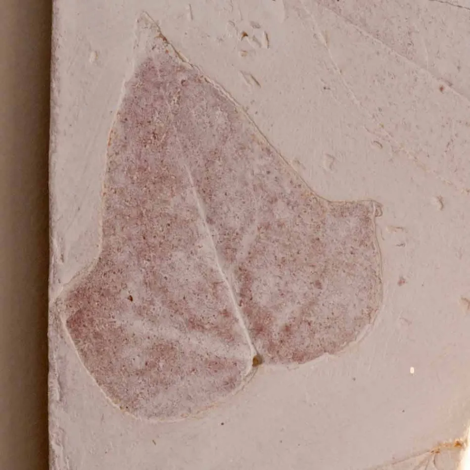 Toscot Vivaldi terracotta wall lamp made in Italy Viadurini