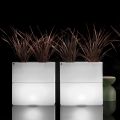 Luminous Outdoor Vase in Two Colors Made in Italy in Polyethylene - Lambo