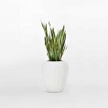 Indoor or Outdoor Decoration Vase in Polyethylene 2 Pieces - Skin by Myyour
