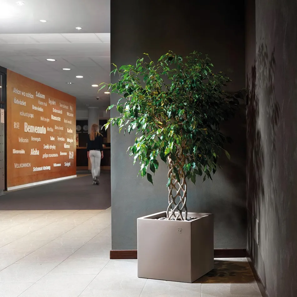 Vase in Colored Polyethylene Cubic Shape Made in Italy - Tonello Viadurini