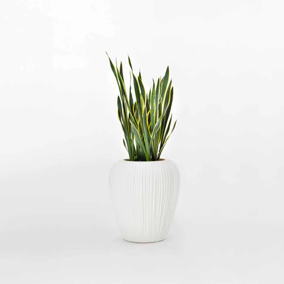 Modern Design Luminous Outdoor Vase in Polyethylene, 2 Pieces - Skin by Myyour Viadurini